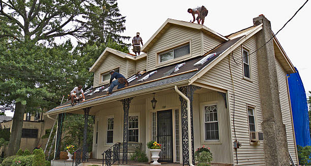 Best Roof Repair Services  in Hwatha, IA